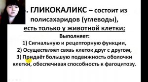 СТРОЕНИЕ ПЛАЗМАЛЕММЫ И СОСТАВ ЦИТОПЛАЗМЫ (ЕГЭ И ОГЭ ПО БИОЛОГИИ)