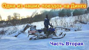 Динго Т150, Т180 Январская поездка с друзьями Часть Вторая!