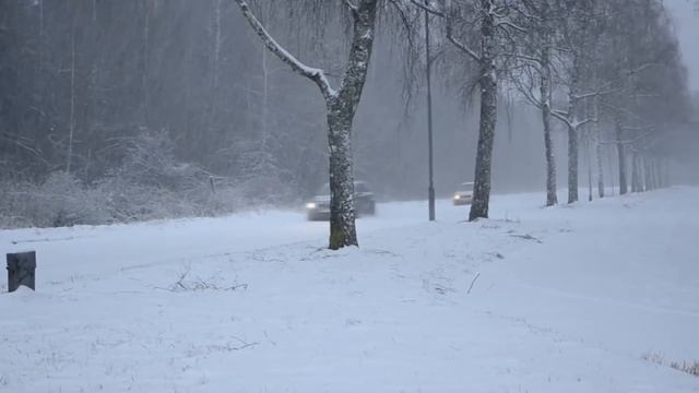 ✔ Карен Айрапетян-Белая птица (ДДТ) Кавер версия (Karen Hayrapetyan) смотреть онлайн
