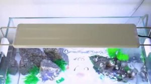 ⚡?? Светильник для аквариума с регулируемой яркостью с зажимом на Алиэкспресс