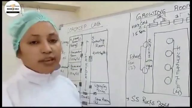 Basic infrastructure requirements of a small standard Cordycep militaris Lab. (कीड़ा जड़ी) смотреть онлайн