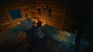 5 способов заработать деньги в Ведьмак 3