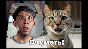 Я просто обомлел от увиденного❗❗❗