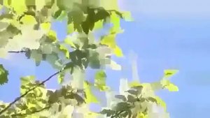 Елама син балам мин киткэчтен Песня 1