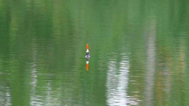 Поклевки карася на оснастку со скользящим грузилом! смотреть онлайн