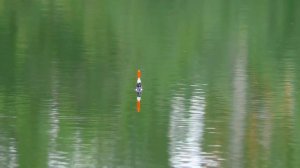 Поклевки карася на оснастку со скользящим грузилом!