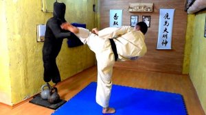 Как улучшить удар Маваши и координацию | Киокушинкай каратэ kyokushinkai |MMA Muai Tai |Единоборств