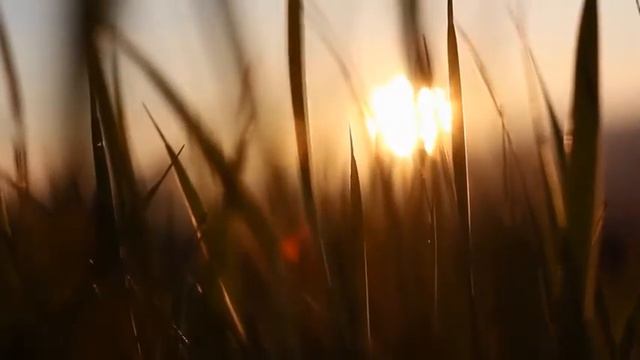 Как Рейки воздействует на лекарства и на прививки. Рэйки помогает быть здоровыми! смотреть онлайн