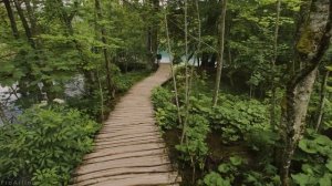 4K Virtual Walking Tour around Plitvice Lakes, Croatia - Amazing Nature Scenery with Soothing Sound