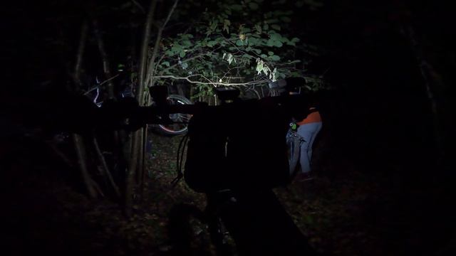 ночная поездка по лесу 11.09.24г. 30 км.