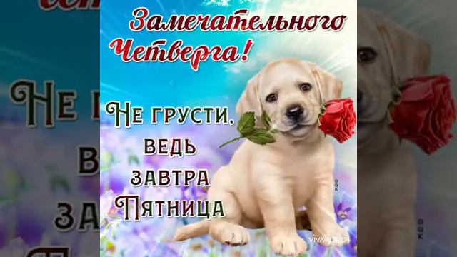 С новым днём ! Прекрасная песня про четверг.