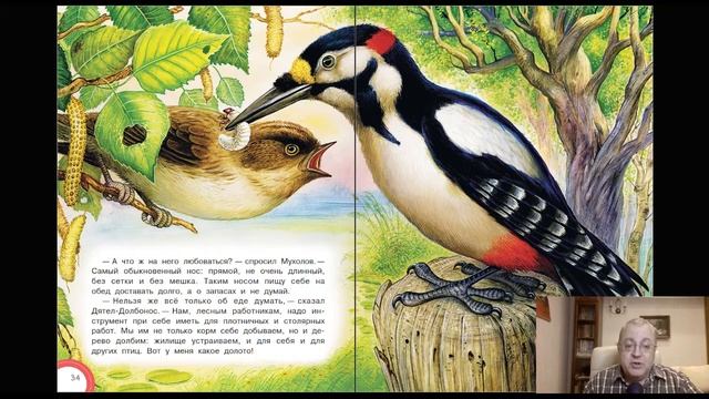 Сказка 229 В. Бианки Сказки про животных 2 смотреть онлайн