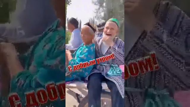 приколы лучше гор есть только горы