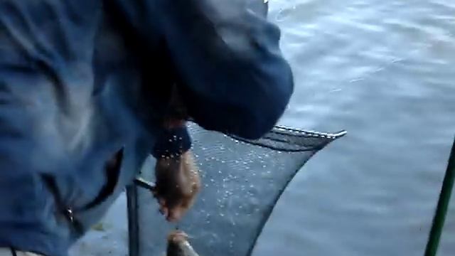 Рыбалка на Красной горке. смотреть онлайн