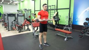 Упражнения. Сгибания рук со штангой обратным хватом.