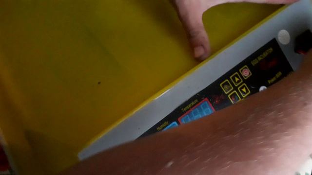 Вьетнамцев всё больше. Кто такой селадон?