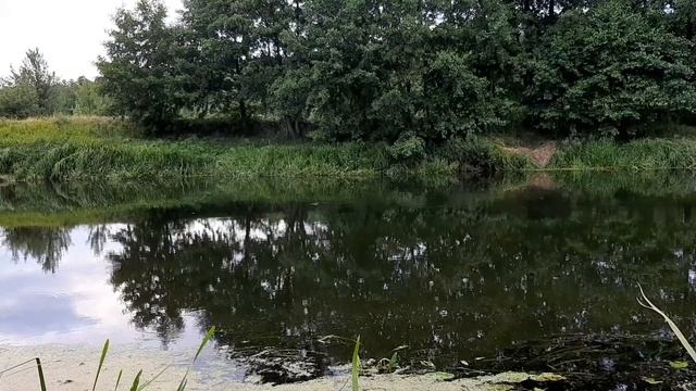 Юродивые для этого мира смотреть онлайн