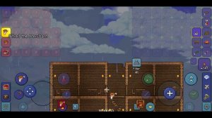 NPC House Terraria!