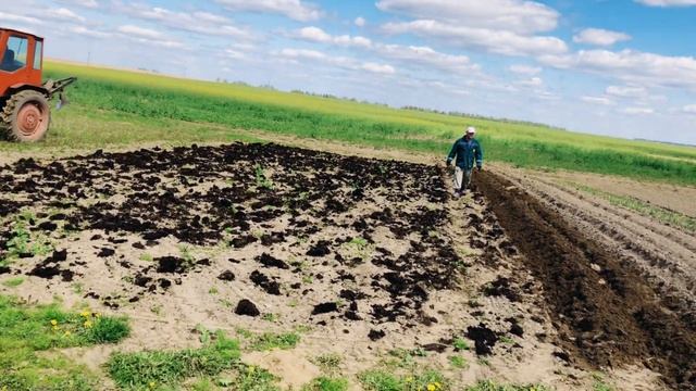 ?Беларусь: танец с граблями, навоз, весна, картошка, шашлыки? #chas#minsk#блогер#весна#грабли#навоз смотреть онлайн