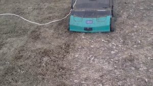 Вертикулиция газона вертикуттером. В апреле.