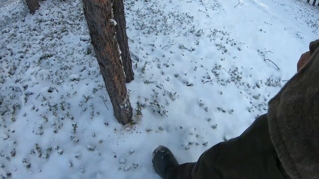 Поход в избу,проверка сруба с тёсаными стенами. смотреть онлайн