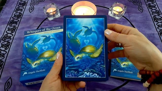 Oracle Deck Collection (Part 5) смотреть онлайн