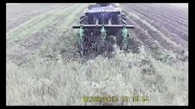 Довсходовая прополка картофеля ежиками