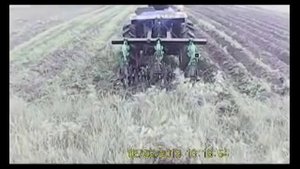Довсходовая прополка картофеля ежиками