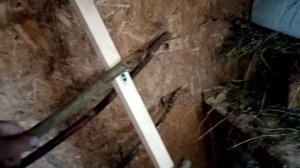 УНИВЕРСАЛЬНАЯ ЛЕСТНИЦА НАСЕСТ ДЛЯ КУРТНИКА