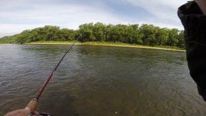 Сахалин. Ловля горбуши и кеты на креветку