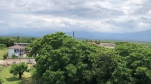 Отель европейского качества в Кобулети на первой линии по цене от 2,5 тысяч рублей в сутки. Обзор