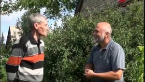 Выращивание ореха манжурского