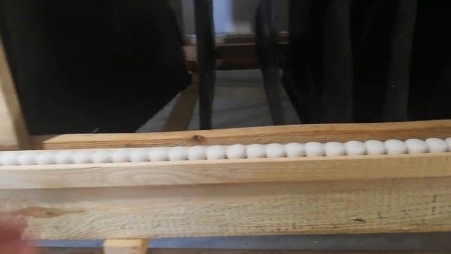 1й день, пробуждение улитки | Royal Snail | Helix Aspersa Muller | Разведение улиток | продажа улит смотреть онлайн