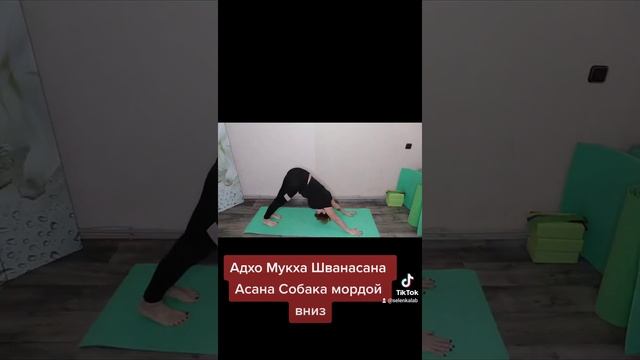 Адхо Мукха Шванасана. Асана Собака мордой вниз. Йога.