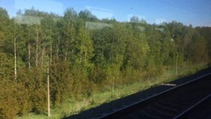 Поездка на электричке спб-луга