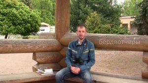 Что такое орнитология и чем занимаются орнитологи