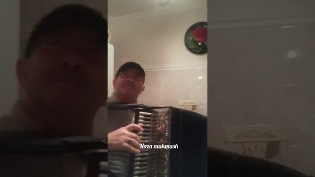 «Красивая чеченская мелодия»