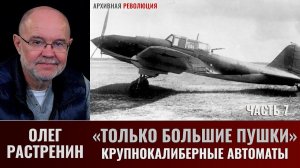 Олег Растренин. "Только большие пушки". Часть 7. Как в ВВС КА появились крупнокалиберные автоматы