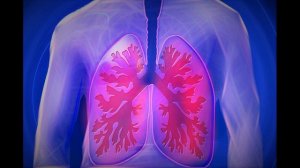 Астма, Аллергия, Какао