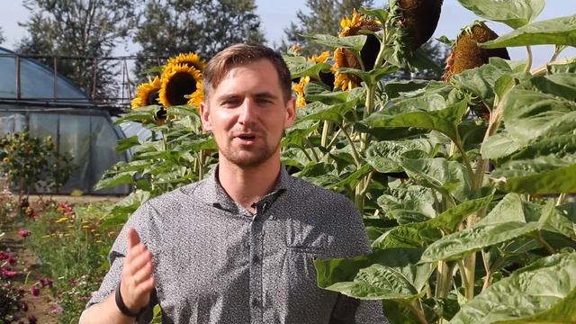 Канал ЗемляНика. Канал для садоводов и огородников 0+ смотреть онлайн