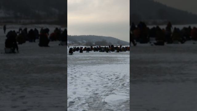 Щас порыбачим)