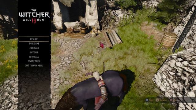 GLITCH - Stuck in a Horse - The Witcher 3