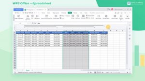 [WPS Academy] 1.2.1 Excel: How to group data in a spreadsheet