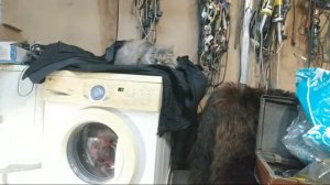 Стираем На LG Wd80192s