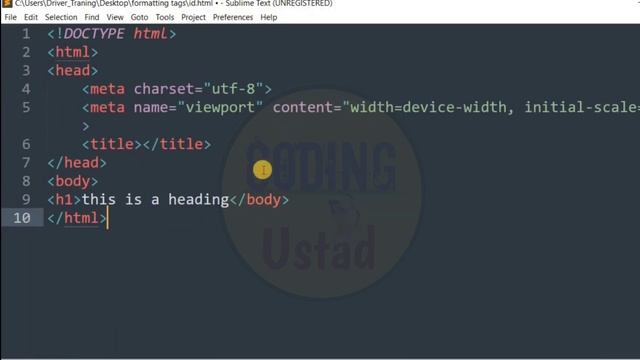 What is CSS Selectors ? |Type of CSS Selectors | Universal Selector