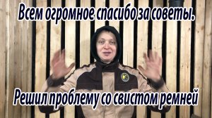 Всем огромное спасибо за советы. Решил проблему со свистом ремней