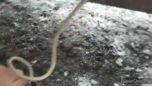 Т25. Широкие колеса на Зиму. ??