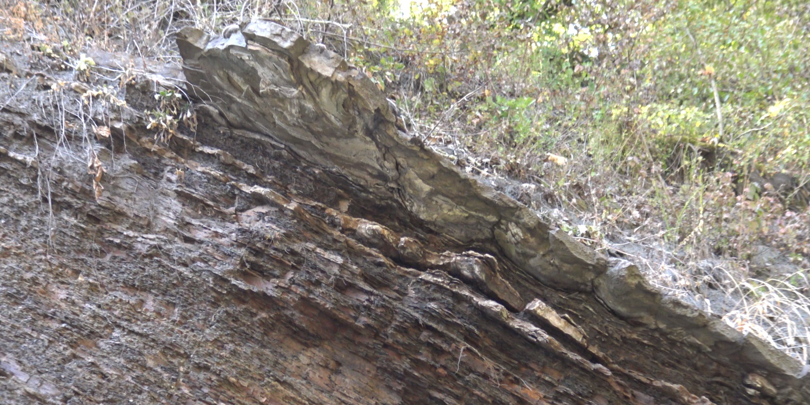 Поездка на горную речку за шлихом! смотреть онлайн