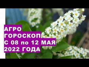 Агрогороскоп с 08 по 12 мая 2022 года