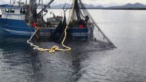 американские пендосы ловят рыбу кошельком на  аляске